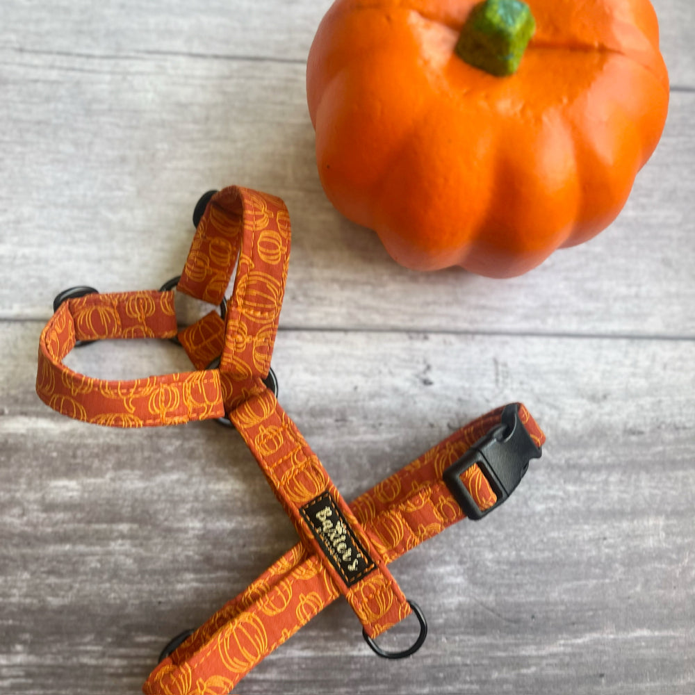 Harness | Pumpkin Patch