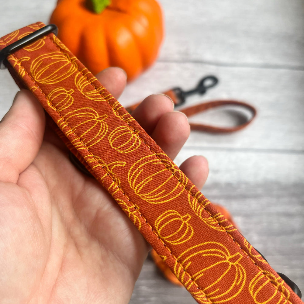 Dog Collar | Pumpkin Patch