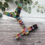 Harness | Fiesta
