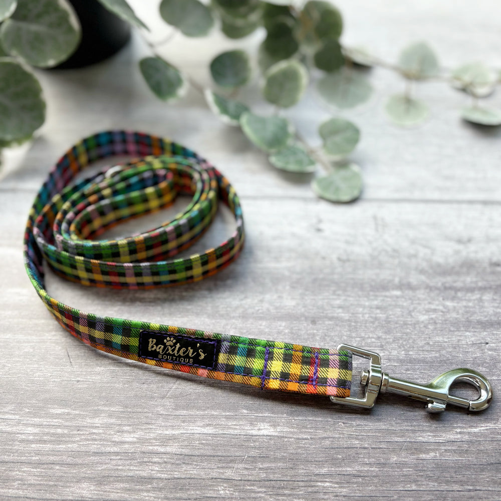 Dog Lead | Fiesta