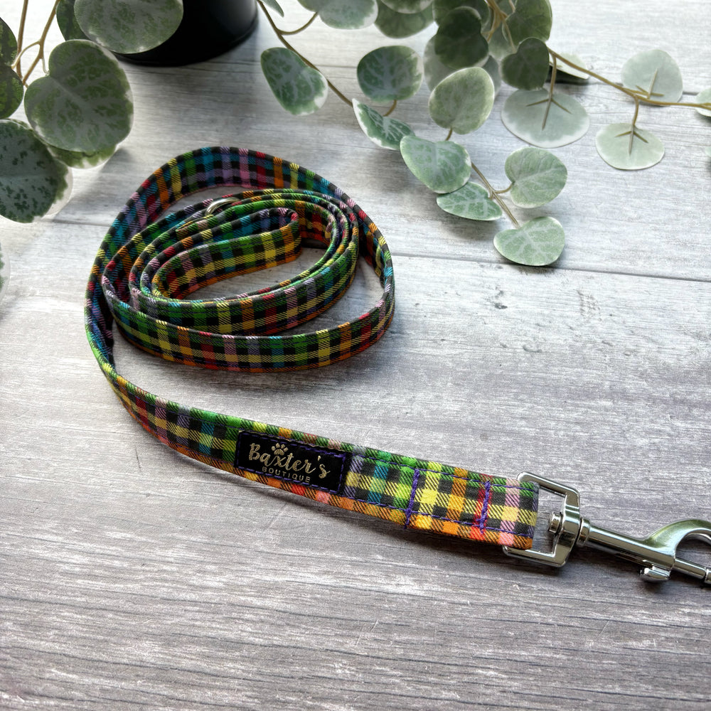 Dog Lead | Fiesta