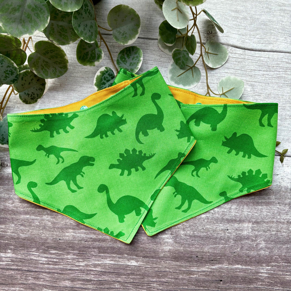 Bandana | Jurassic Bark
