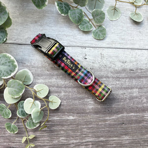 Dog Collar | Fiesta