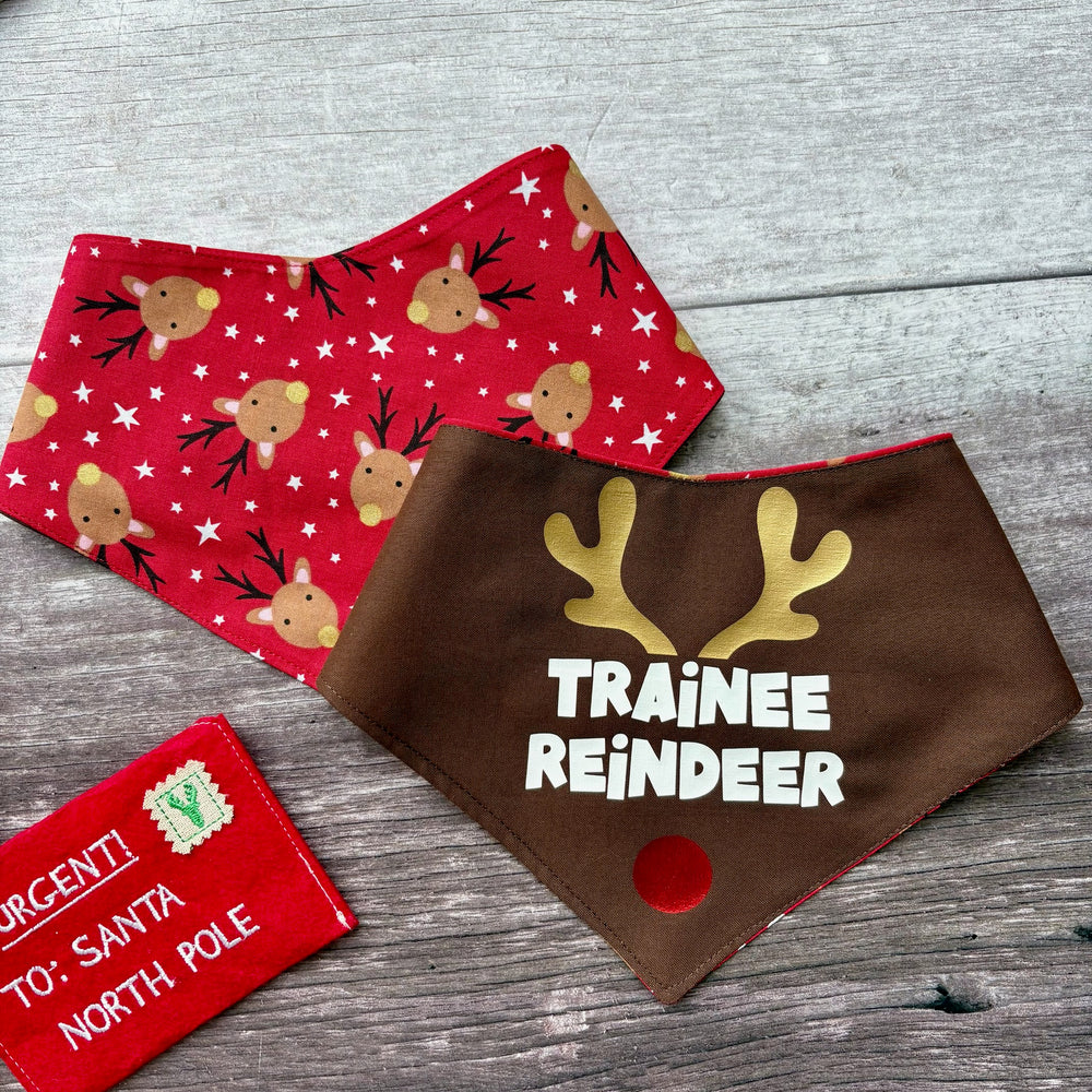 Bandana | Christmas | Trainee Reindeer