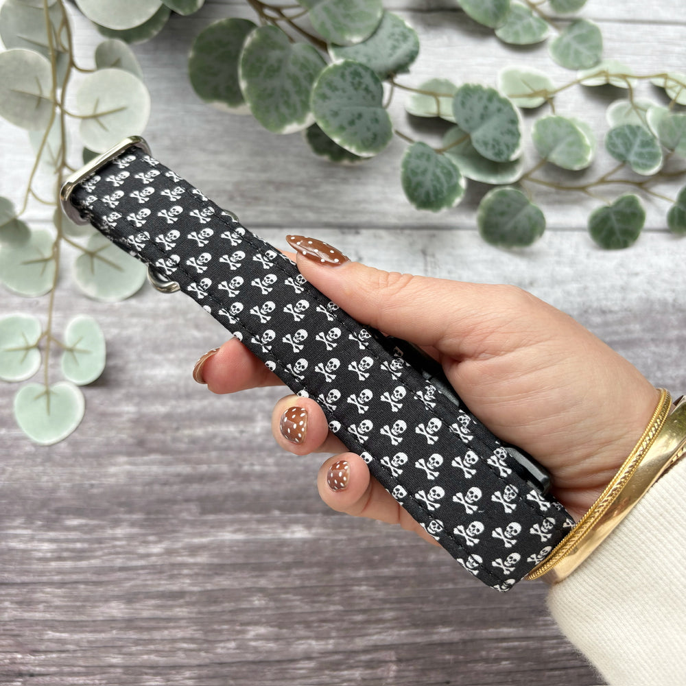 Dog Collar | Walk the Plank