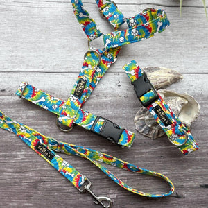 Harness | Dude!
