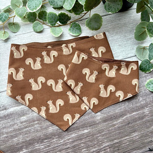 Bandana | Squirrel Patrol