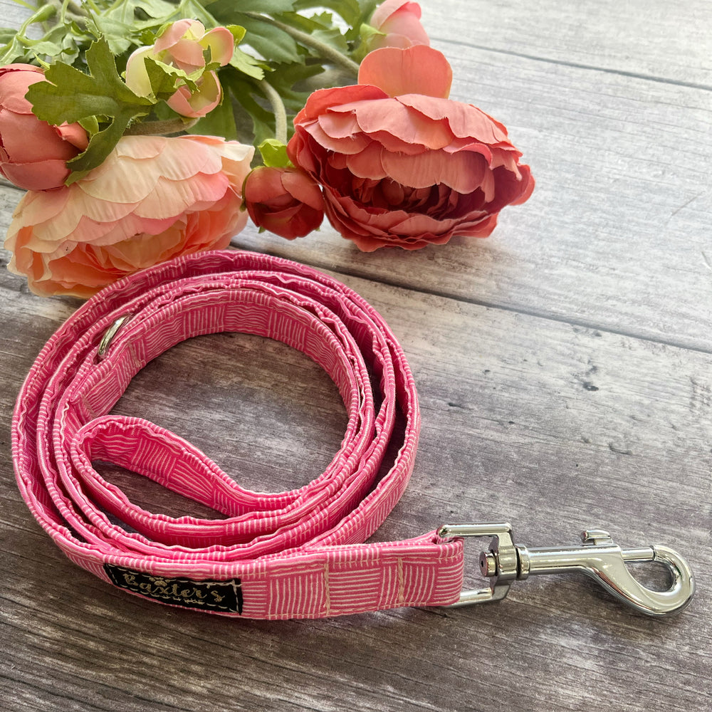 Girl sales dog leads