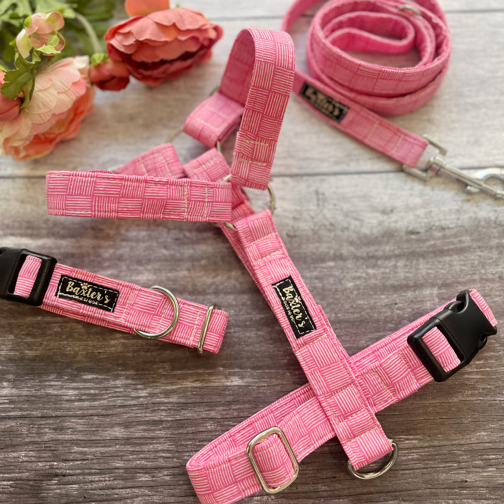 Harness | Mean Girl