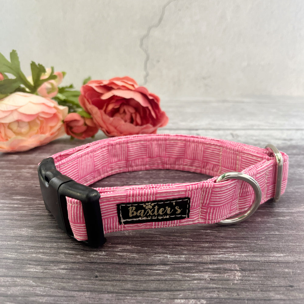 Dog Collar | Mean Girl