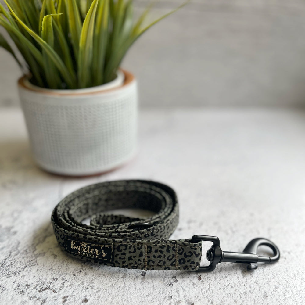 khaki dog leash