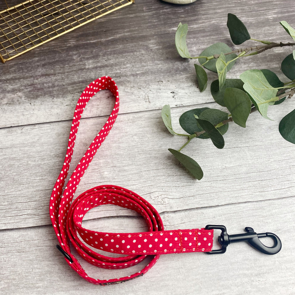 
            
                Load image into Gallery viewer, Red Polka Dot Dog Lead
            
        