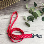 Red Polka Dot Dog Lead