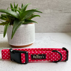 hand made dog collar
