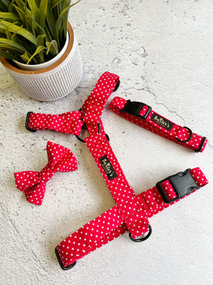 
            
                Load image into Gallery viewer, red polka dot dog harness
            
        