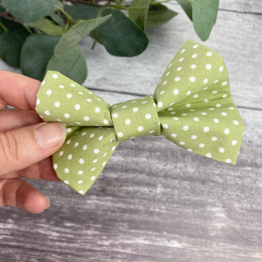 pistachio polka dot dog bow tie