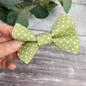 
            
                Load image into Gallery viewer, pistachio polka dot dog bow tie
            
        