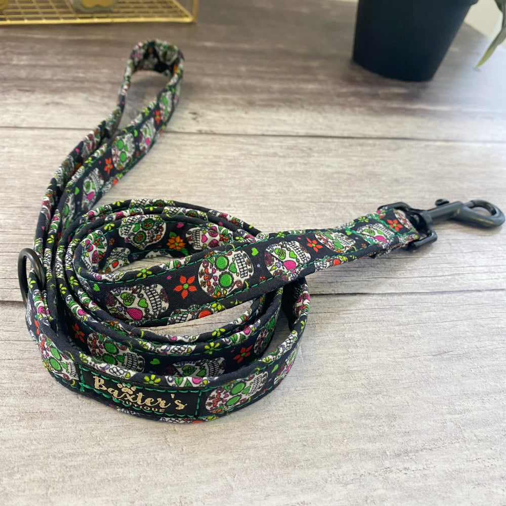 candy skulls dog lead