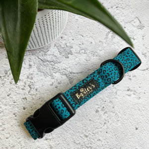 teal dog collar
