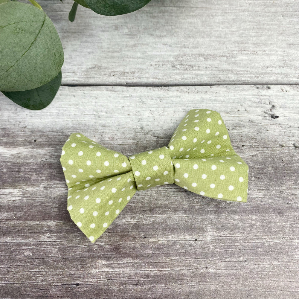 pistachio dog bow