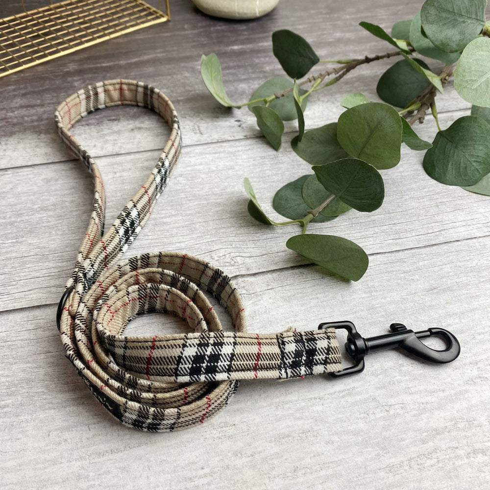 plaid dog leash