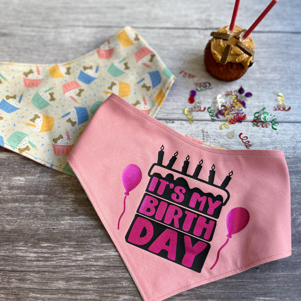 Bandana | Birthday Pupcakes / Its My Birthday