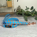 dressed crab dog lead