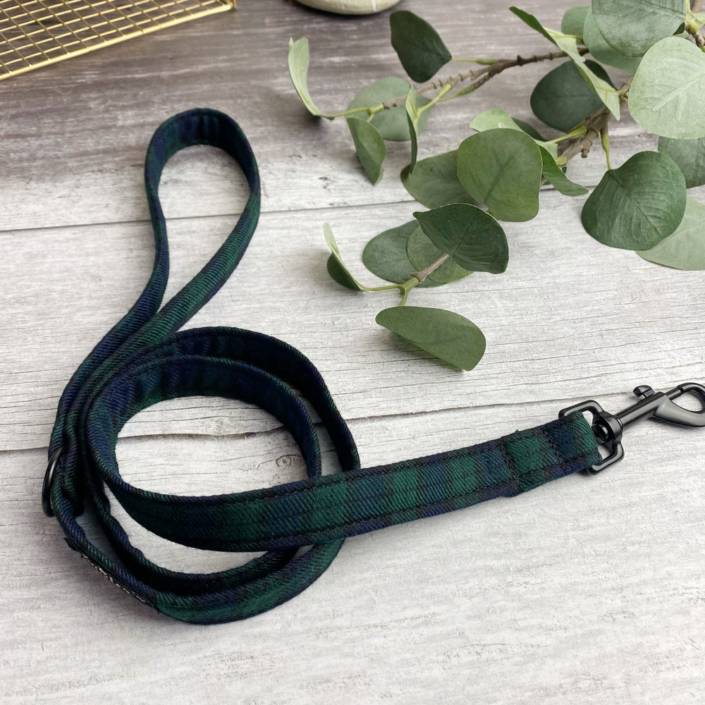 black watch tartan dog lead