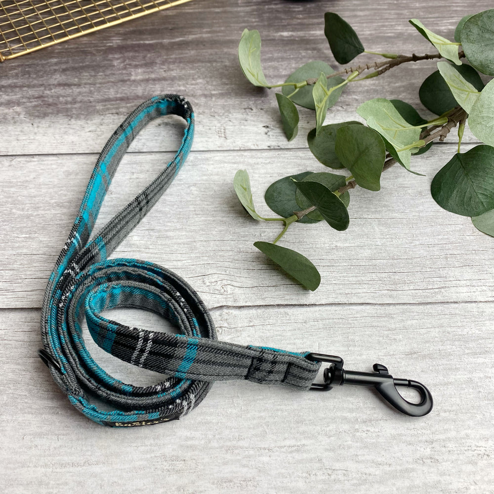 blue tartan dog lead