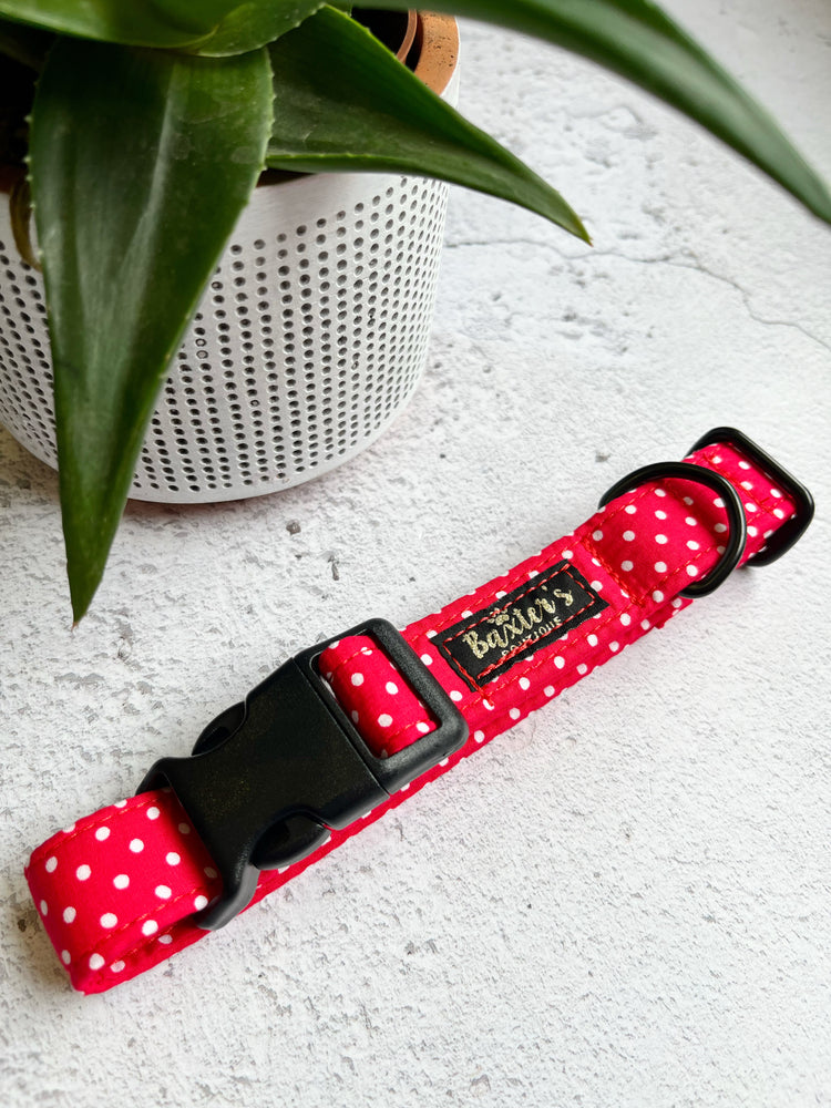 red dog collar