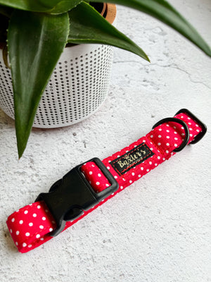 red dog collar