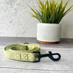 pistachio polka dot dog lead