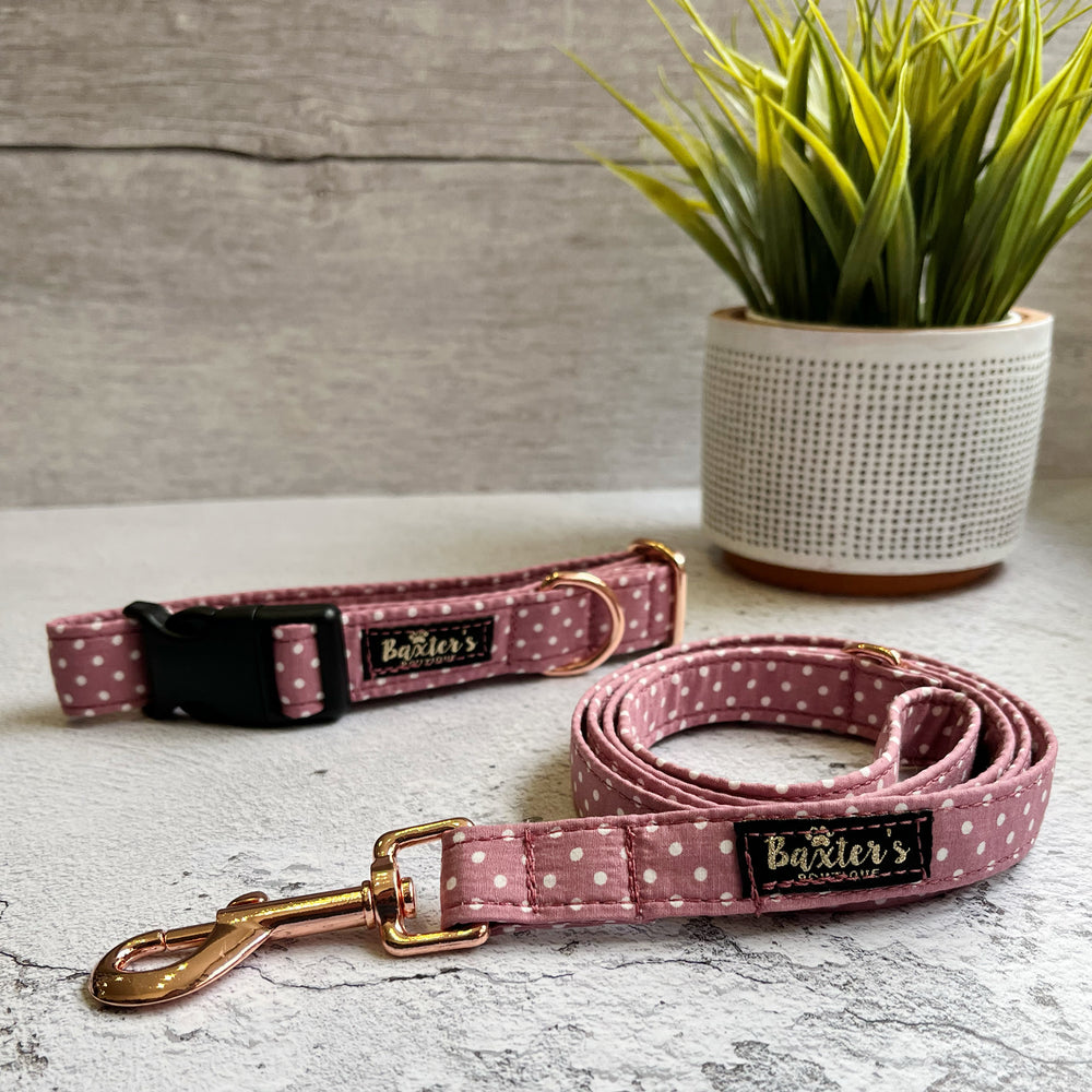 polka dot dog collar