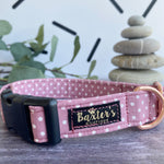 dusky pink dog collar