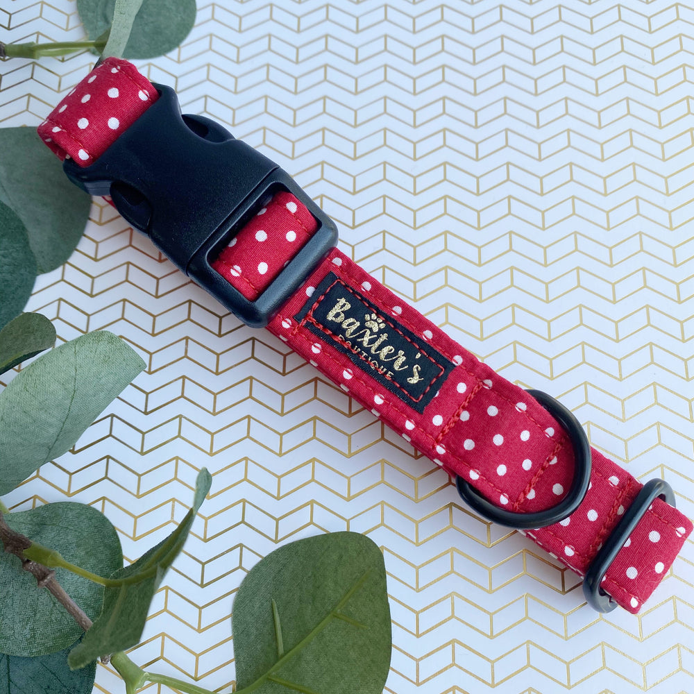 red polka dot dog collar