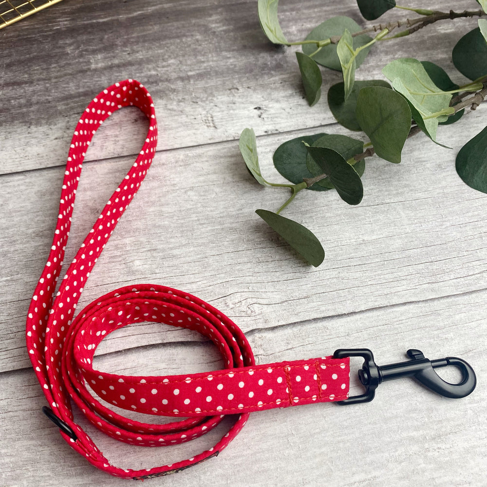 Red Polka Dot Dog Lead