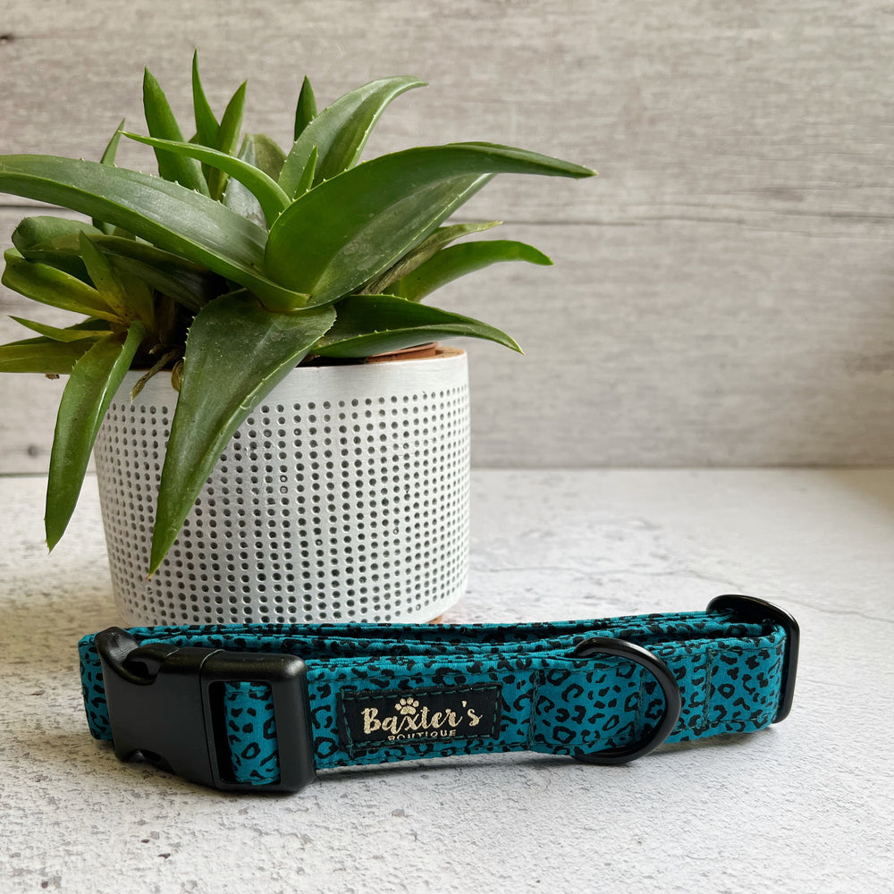 leopard print dog collar