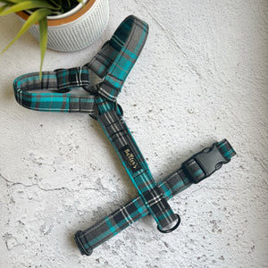 
            
                Load image into Gallery viewer, tartan dog harness
            
        
