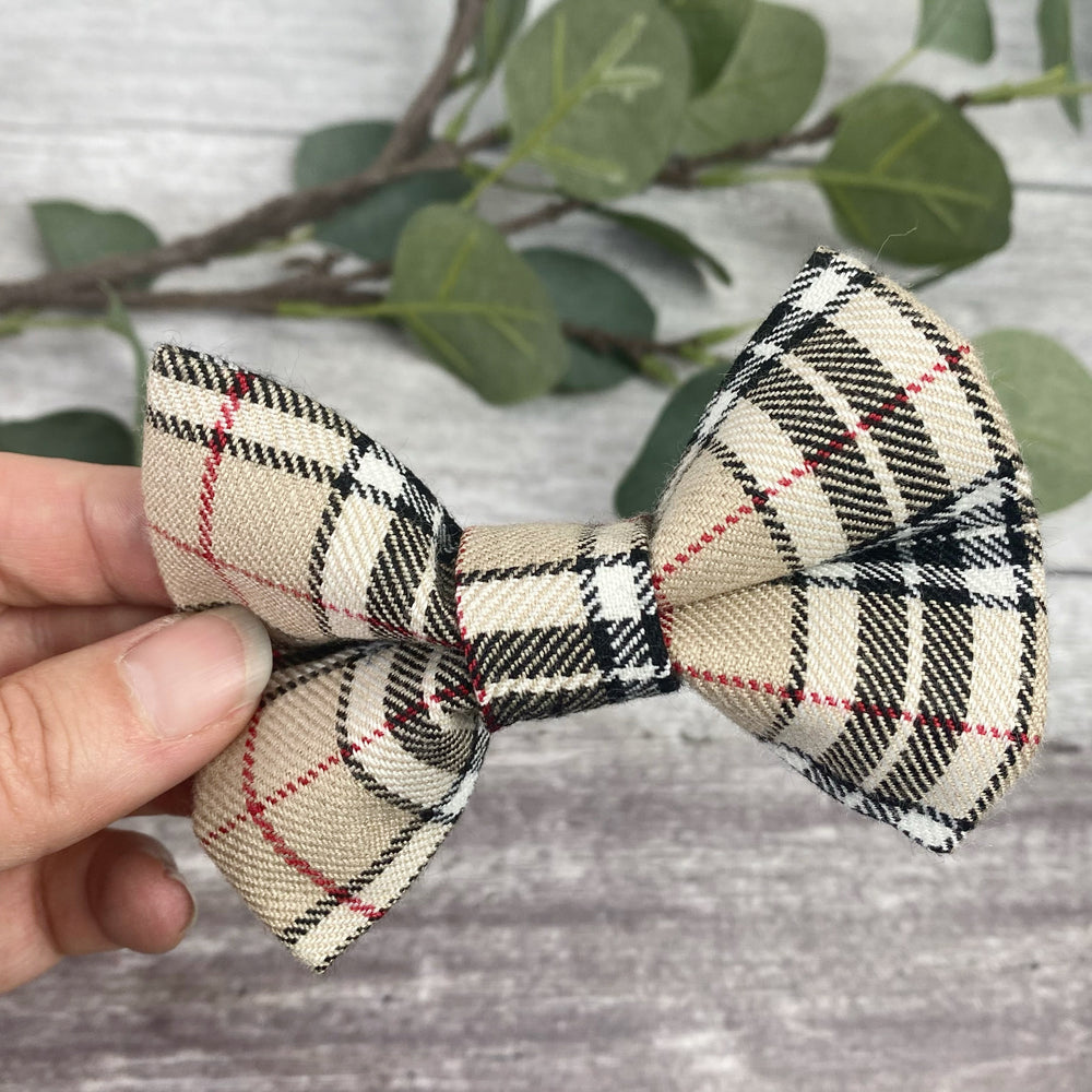 designer dog bow tie