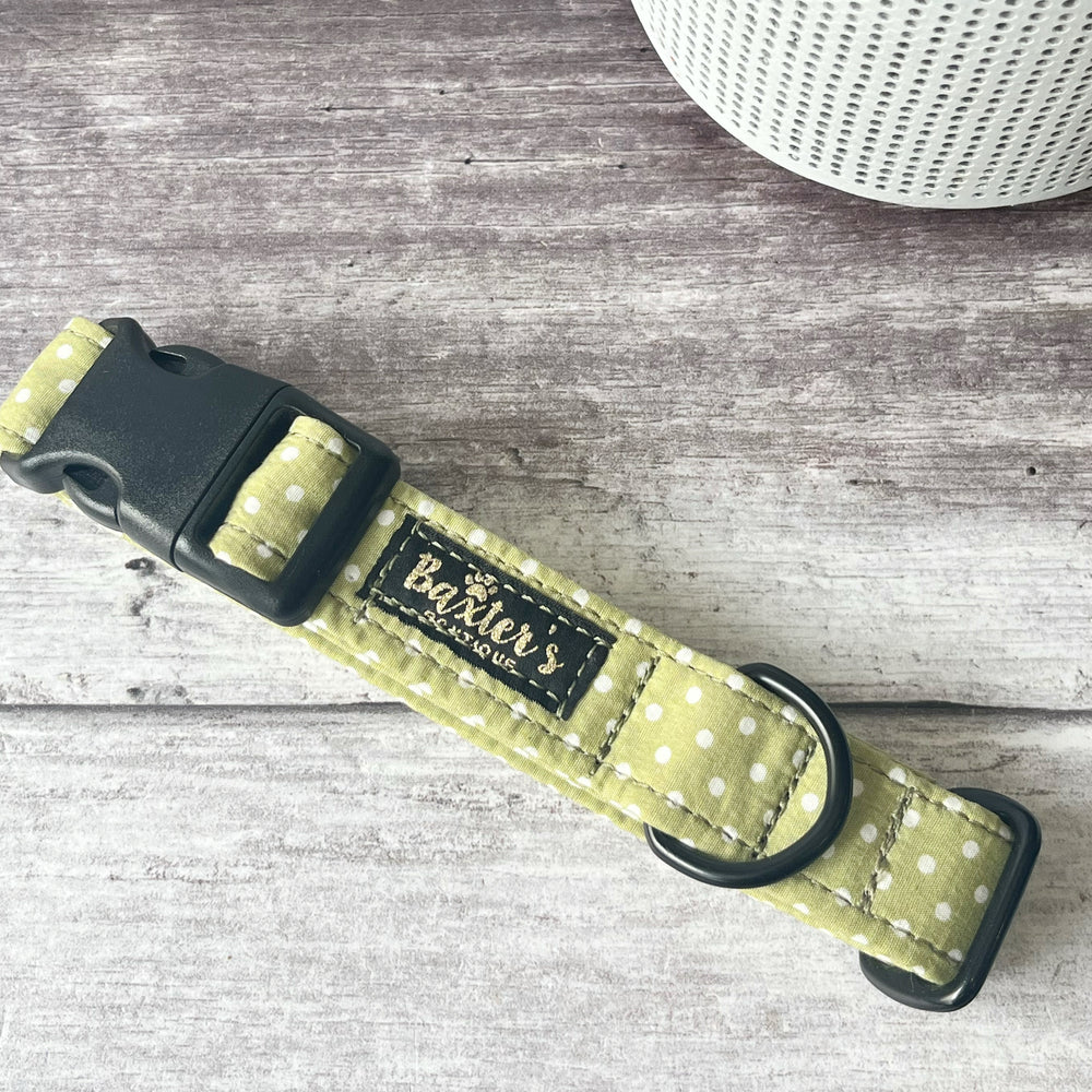 pistachio dog collar