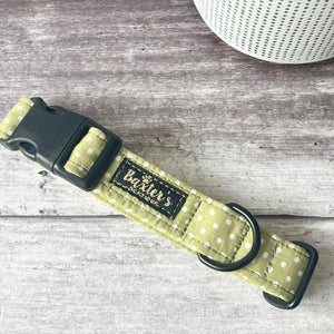 pistachio dog collar