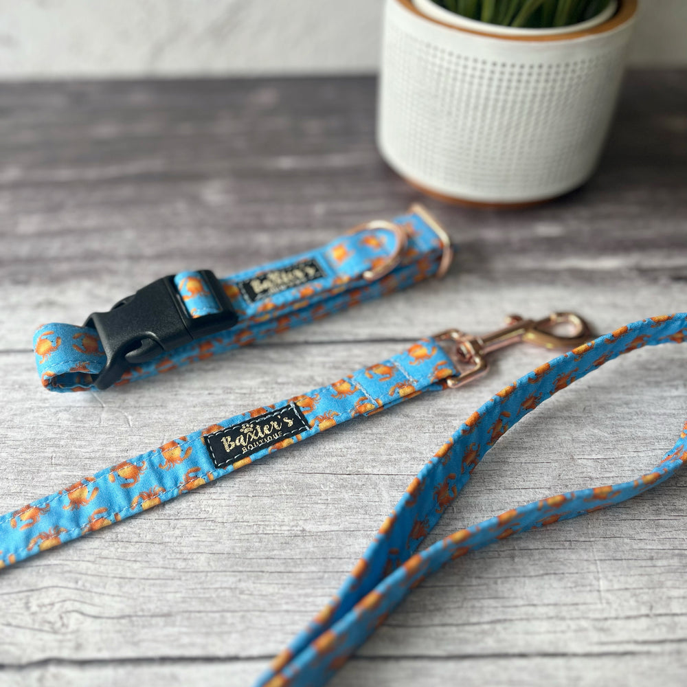 nautical dog accessories