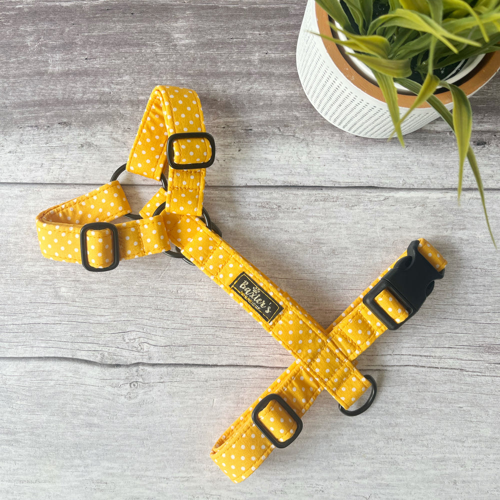 yellow polka dot dog harness