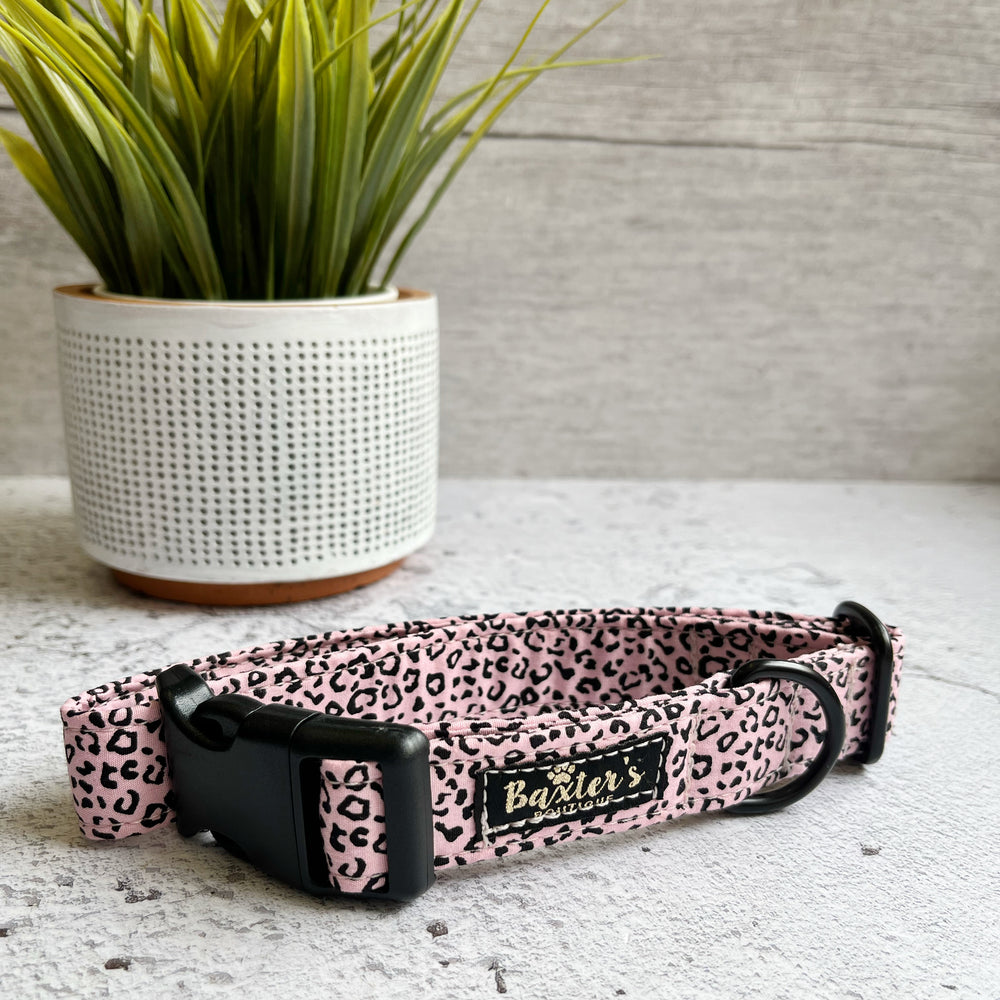pink dog collar