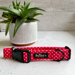 polka dot dog collar