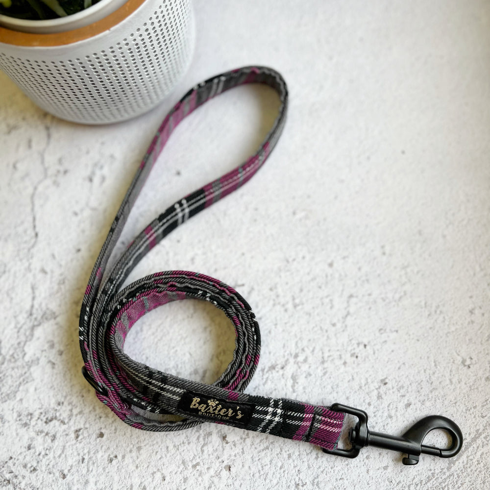 
            
                Load image into Gallery viewer, pink tartan dog lead
            
        