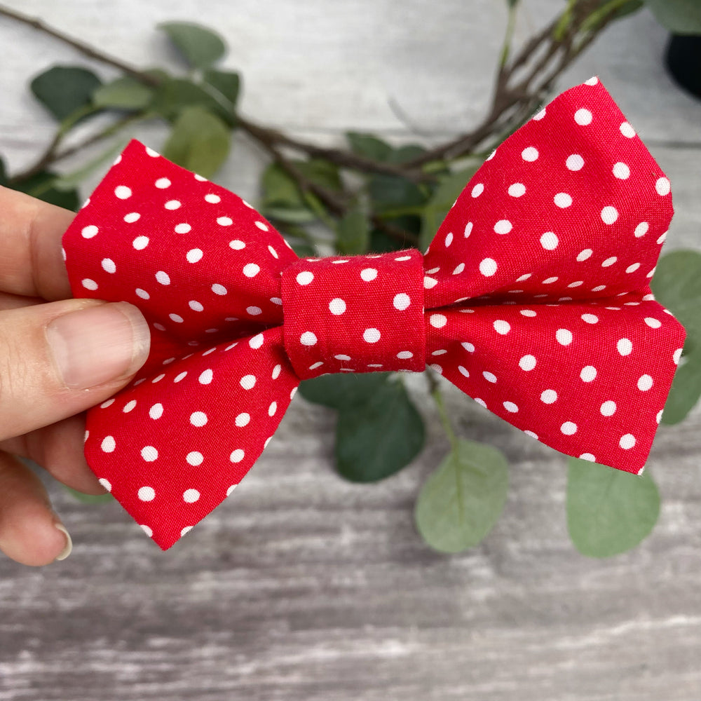 red polka dot dog bow tie