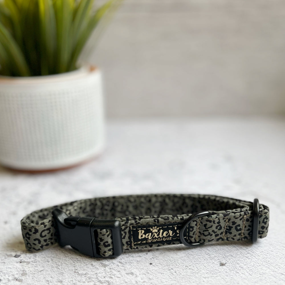 khaki leopard dog collar