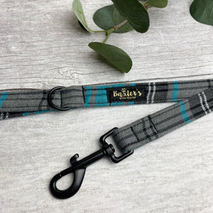 
            
                Load image into Gallery viewer, tartan dog lead
            
        