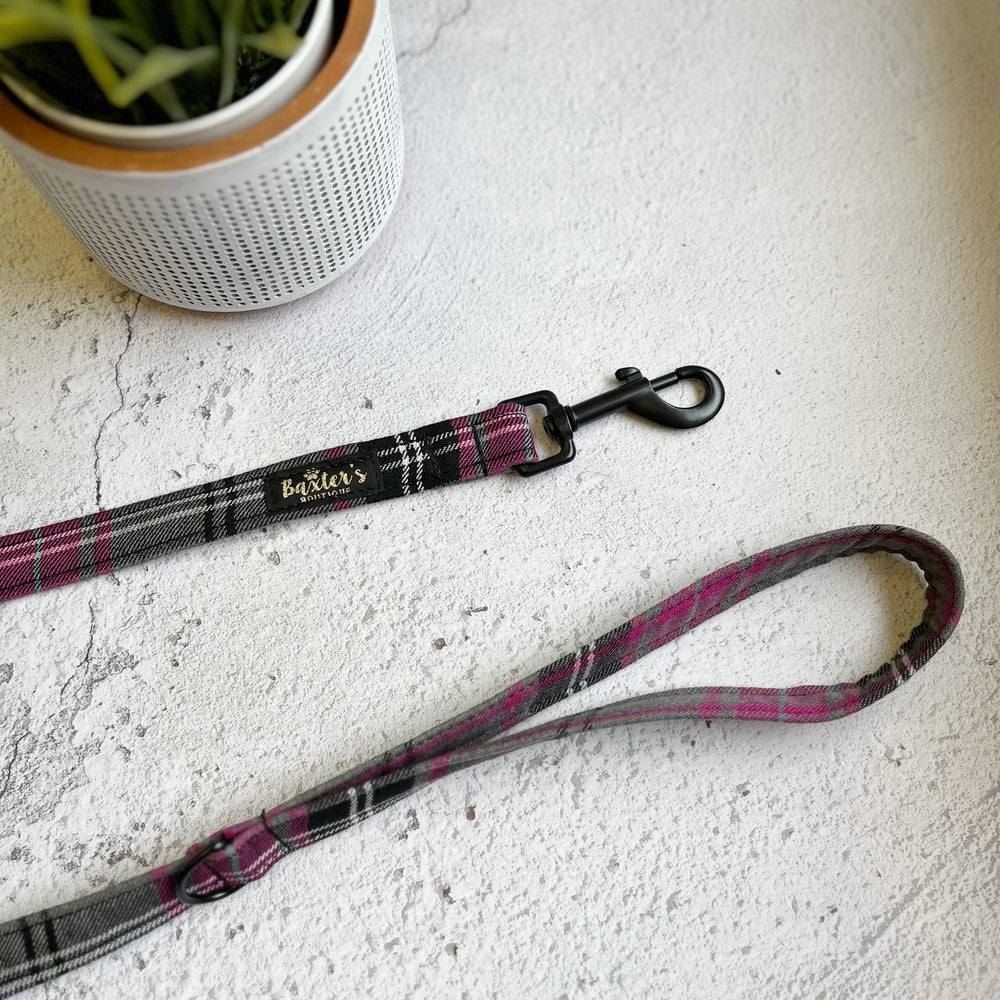 
            
                Load image into Gallery viewer, pink plaid dog leash
            
        